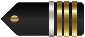 Insignia